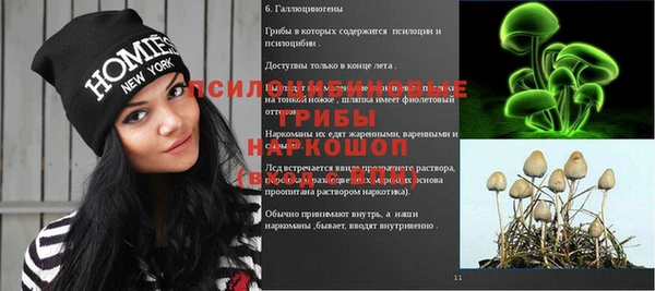 меф Белокуриха
