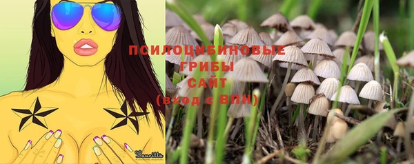 трава Белоозёрский