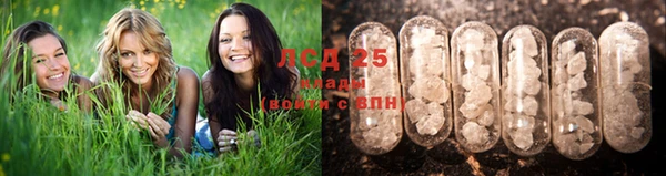 меф Белокуриха