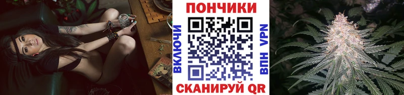 Купить где  Пугачёв  Бошки марихуана марихуана 